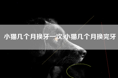 小猫几个月换牙一次;小猫几个月换完牙