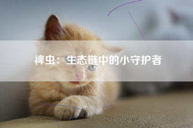 裨虫：生态链中的小守护者