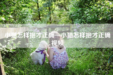 小猫怎样抱才正确—小猫怎样抱才正确视频