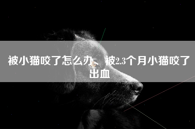被小猫咬了怎么办、被2.3个月小猫咬了出血