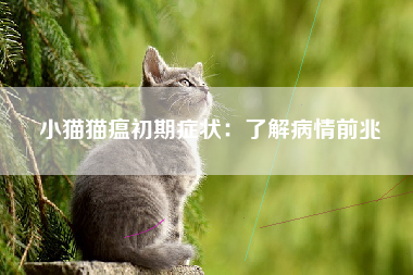 小猫猫瘟初期症状：了解病情前兆