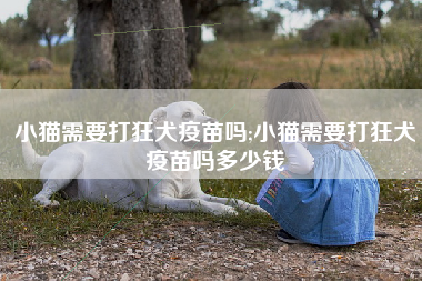 小猫需要打狂犬疫苗吗;小猫需要打狂犬疫苗吗多少钱