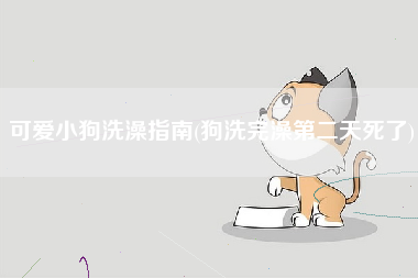 可爱小狗洗澡指南(狗洗完澡第二天死了)