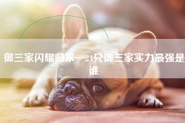 御三家闪耀归来—24只御三家实力最强是谁