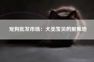 宠狗批发市场：犬类宝贝的聚集地