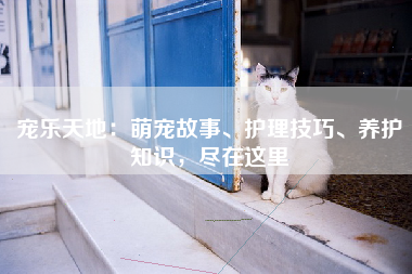 宠乐天地：萌宠故事、护理技巧、养护知识，尽在这里