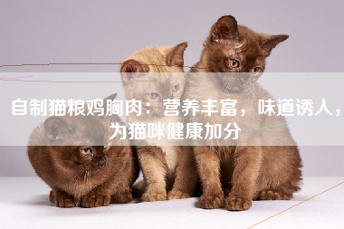 自制猫粮鸡胸肉：营养丰富，味道诱人，为猫咪健康加分