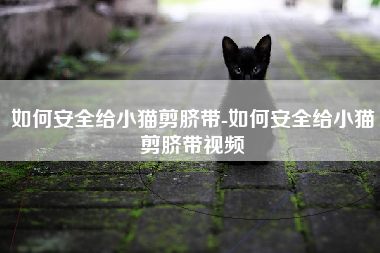 如何安全给小猫剪脐带-如何安全给小猫剪脐带视频