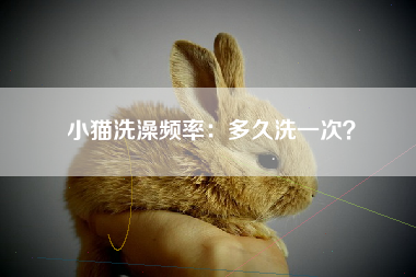小猫洗澡频率：多久洗一次？