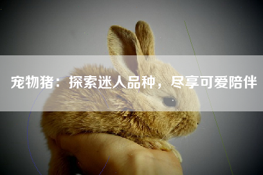宠物猪：探索迷人品种，尽享可爱陪伴