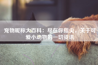 宠物昵称大百科：尽在你指尖，关于可爱小动物的一切资讯