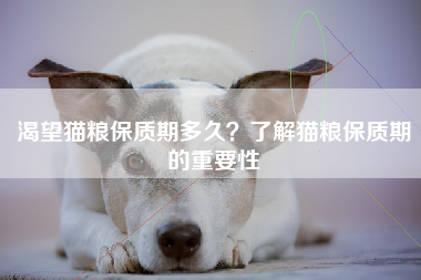 渴望猫粮保质期多久？了解猫粮保质期的重要性