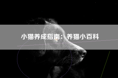 小猫养成指南：养猫小百科