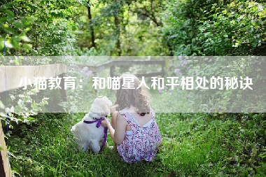 小猫教育：和喵星人和平相处的秘诀