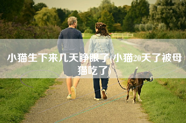 小猫生下来几天睁眼了(小猫20天了被母猫吃了)