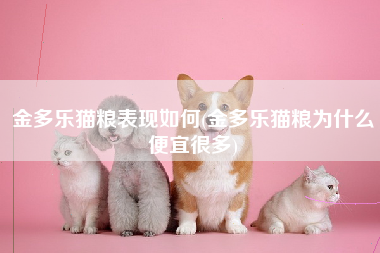 金多乐猫粮表现如何(金多乐猫粮为什么便宜很多)