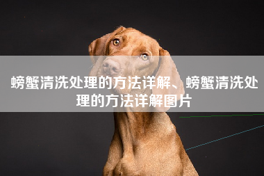 螃蟹清洗处理的方法详解、螃蟹清洗处理的方法详解图片