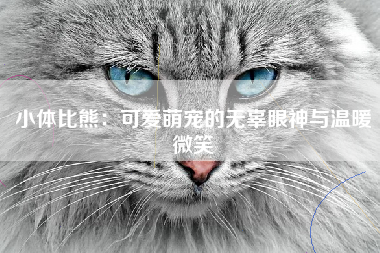 小体比熊：可爱萌宠的无辜眼神与温暖微笑