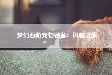 梦幻西游宠物装备：闪耀之旅