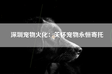 深圳宠物火化：关怀宠物永恒寄托