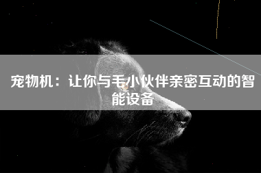 宠物机：让你与毛小伙伴亲密互动的智能设备
