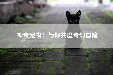 神奇宠物：与你共度奇幻冒险