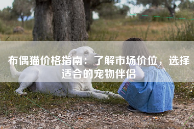 布偶猫价格指南：了解市场价位，选择适合的宠物伴侣
