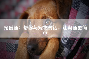 宠爱通：帮你与宠物对话，让沟通更简单