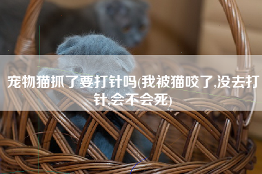 宠物猫抓了要打针吗(我被猫咬了,没去打针,会不会死)