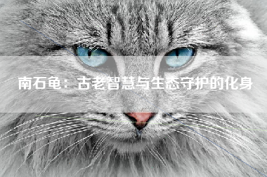 南石龟：古老智慧与生态守护的化身