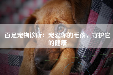 百足宠物诊所：宠爱你的毛孩，守护它的健康