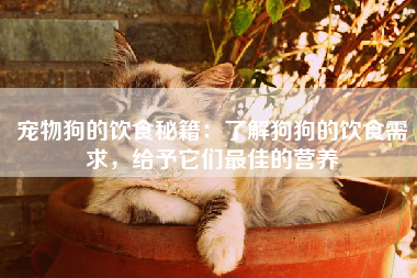 宠物狗的饮食秘籍：了解狗狗的饮食需求，给予它们最佳的营养