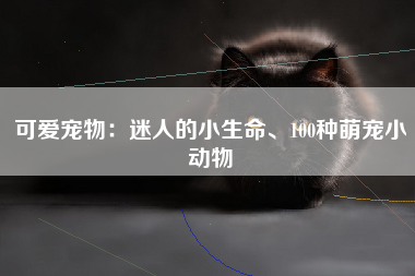 可爱宠物：迷人的小生命、100种萌宠小动物