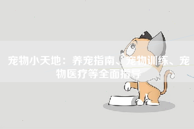 宠物小天地：养宠指南、宠物训练、宠物医疗等全面指导