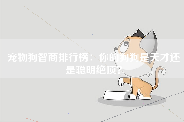 宠物狗智商排行榜：你的狗狗是天才还是聪明绝顶？