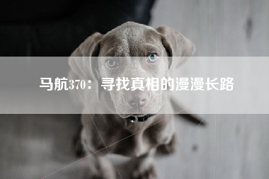马航370：寻找真相的漫漫长路