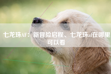 七龙珠AF：新冒险启程、七龙珠af在哪里可以看