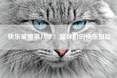 快乐星猫第八季：猫咪们的快乐冒险