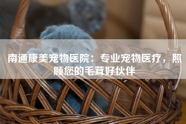 南通康美宠物医院：专业宠物医疗，照顾您的毛茸好伙伴