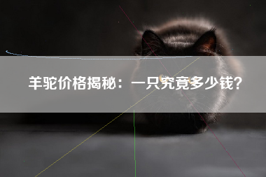 羊驼价格揭秘：一只究竟多少钱？