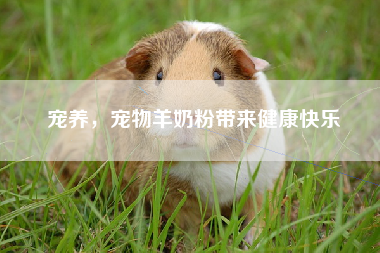宠养，宠物羊奶粉带来健康快乐