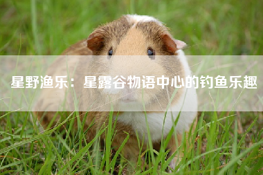 星野渔乐：星露谷物语中心的钓鱼乐趣