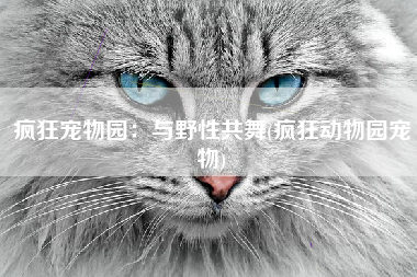 疯狂宠物园：与野性共舞(疯狂动物园宠物)