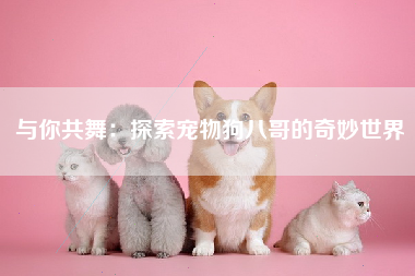与你共舞：探索宠物狗八哥的奇妙世界