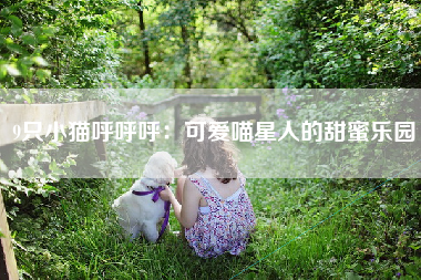 9只小猫呼呼呼：可爱喵星人的甜蜜乐园