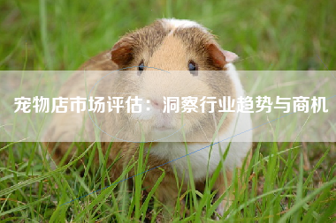 宠物店市场评估：洞察行业趋势与商机