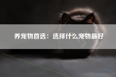 养宠物首选：选择什么宠物最好