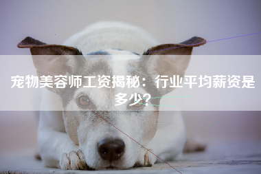 宠物美容师工资揭秘：行业平均薪资是多少？