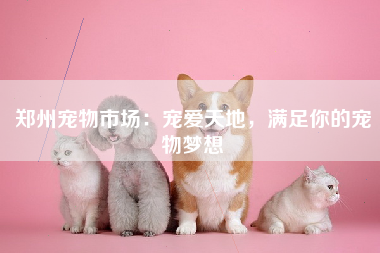 郑州宠物市场：宠爱天地，满足你的宠物梦想