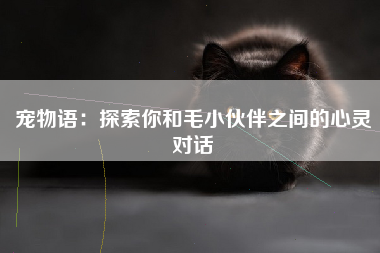宠物语：探索你和毛小伙伴之间的心灵对话